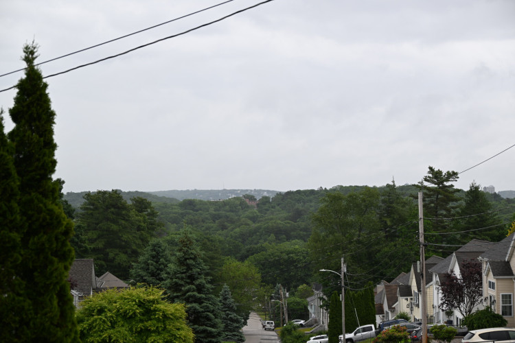 DSC_2893.jpg