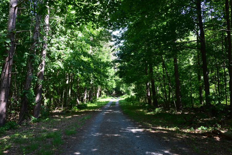 DSC_3344.jpg